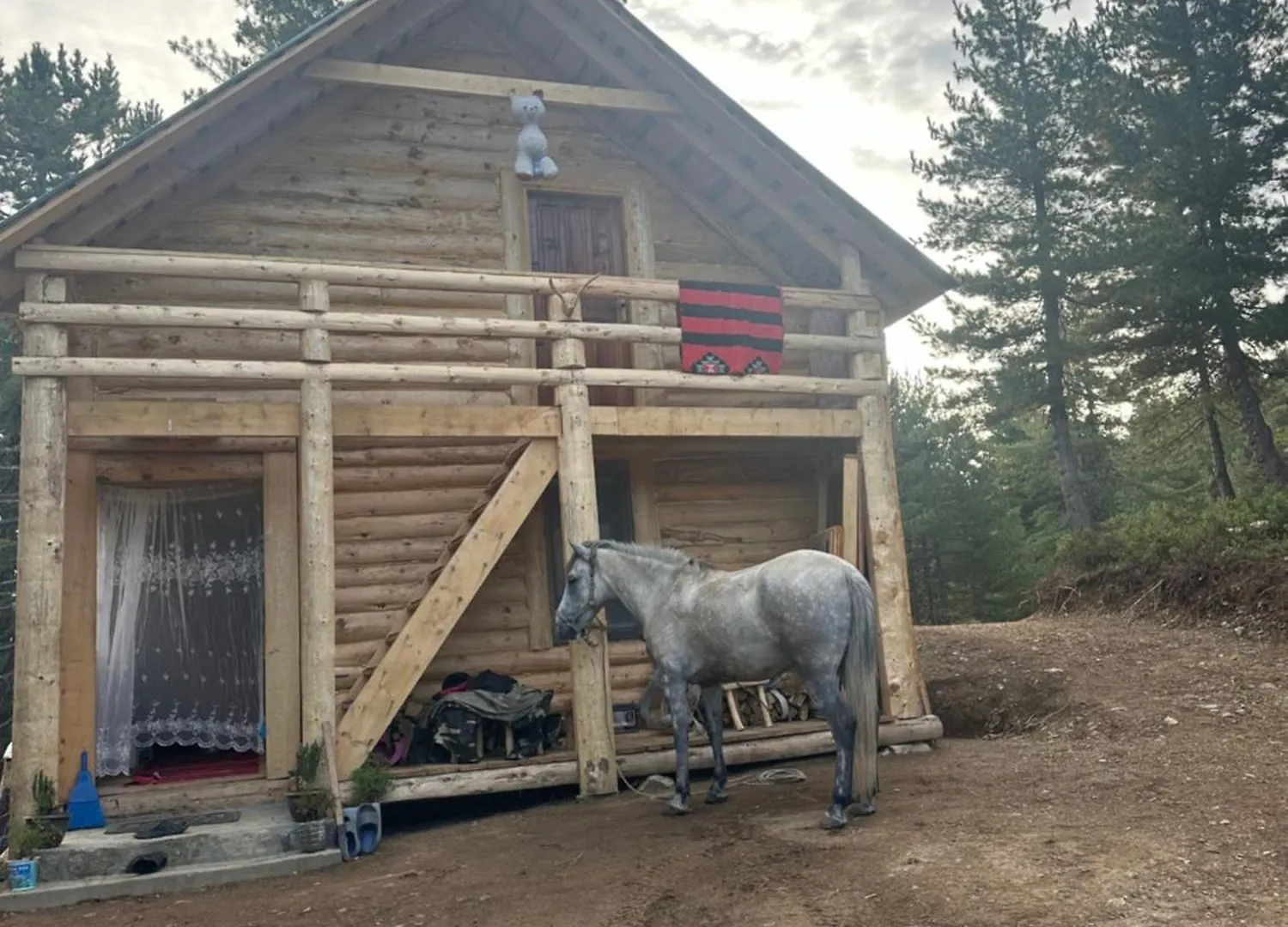 Aleos Cabin Bajram Curri Albanien