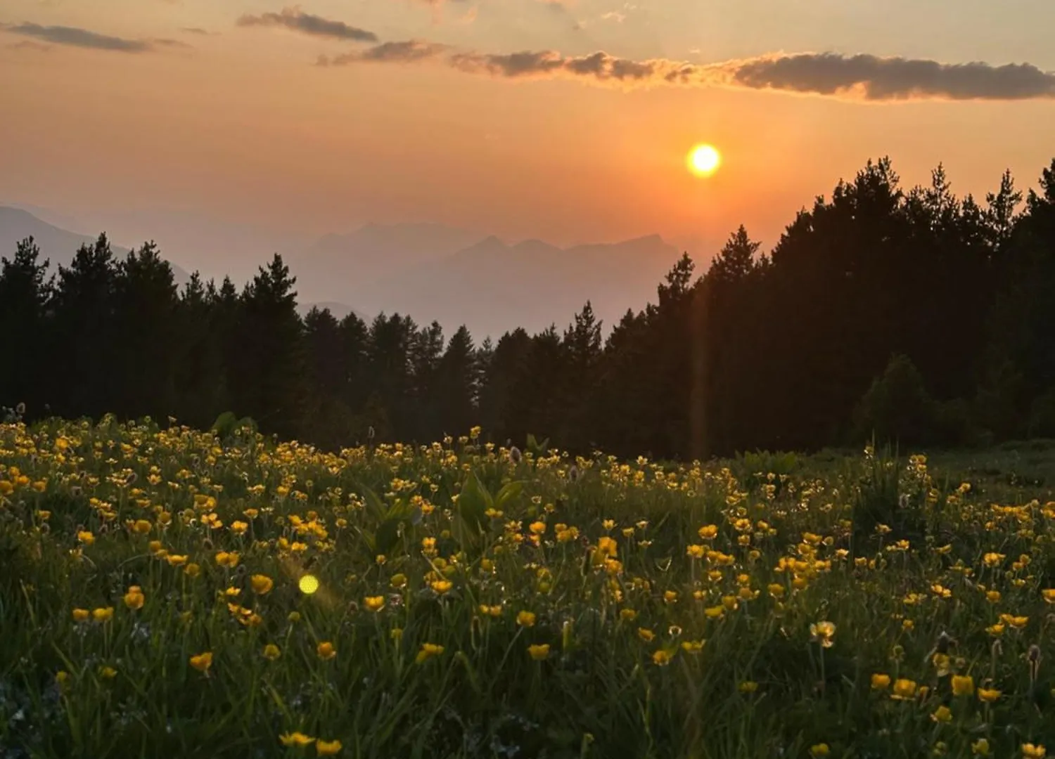 Camping Aleos Cabin Bajram Curri Albanien